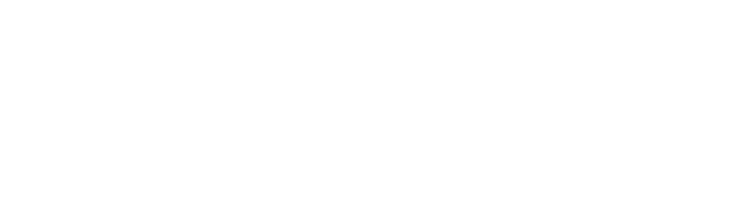 Ponente de IONOS